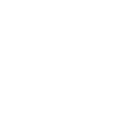 nanopass logo